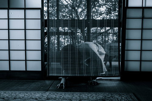 猛暑で竹簾の下から這いずる女性の霊