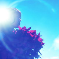 逆光とポインセチアを持った女性の横顔シルエットの写真