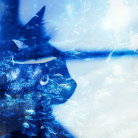 青い液体に浸かった猫の顔と泡が見える合成写真の写真