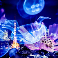 光るクラゲが浮かぶ都市のタワーが見える夜景の合成写真の写真