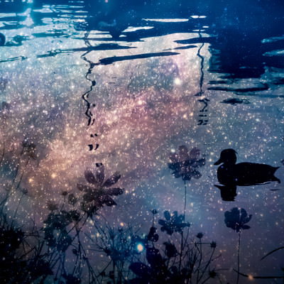 夕暮れの水面に浮かぶ鳥のシルエットと氷の割れ目の写真