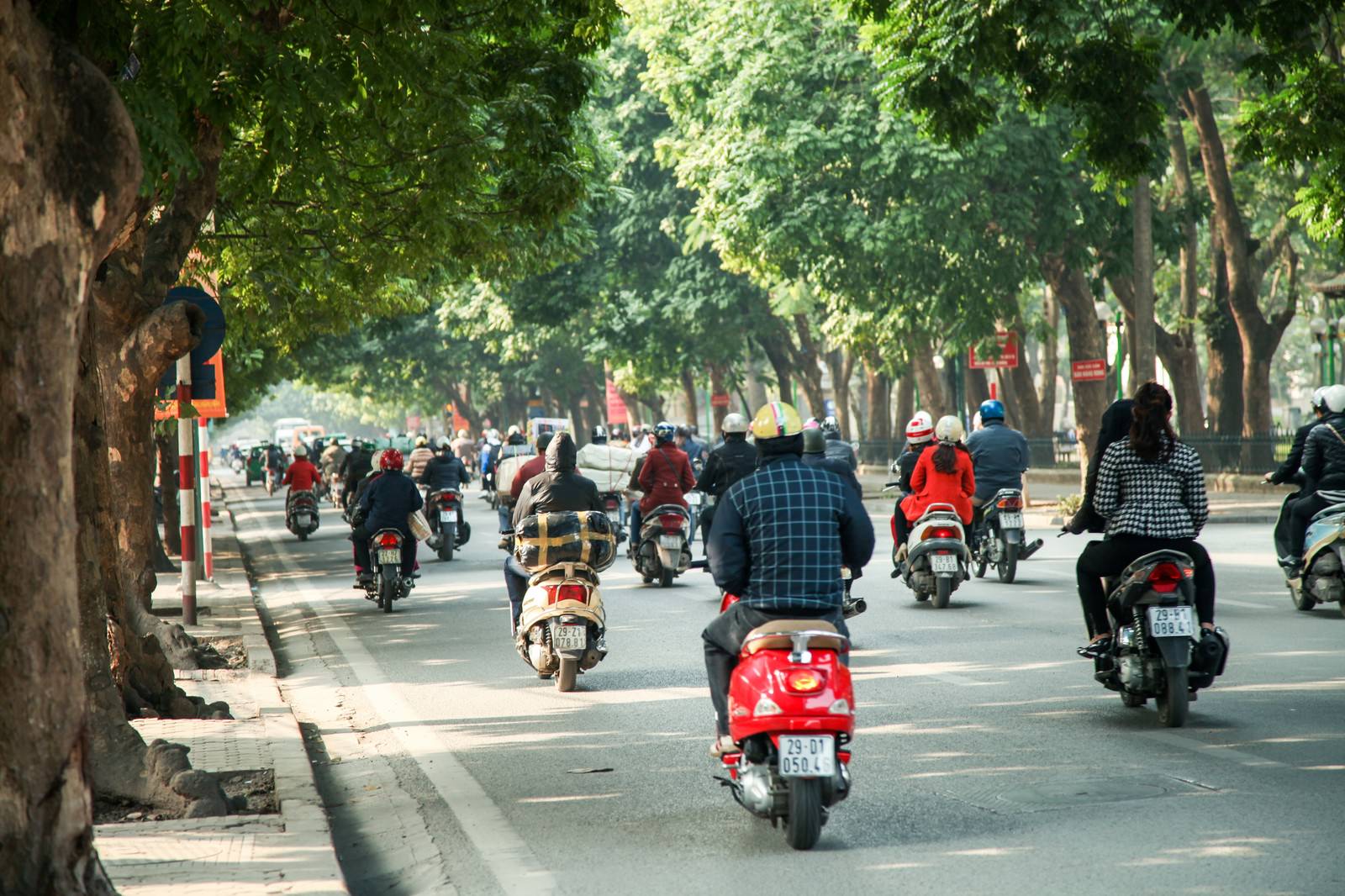 ベトナム・ハノイの街路樹が並ぶ道路を走る多数のバイクと車両