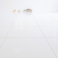 壁沿いを歩く雪上のハリネズミの行進と足跡の写真