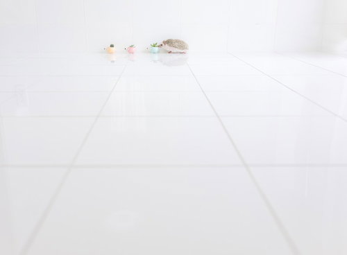 壁沿いを歩く雪上のハリネズミの行進と足跡