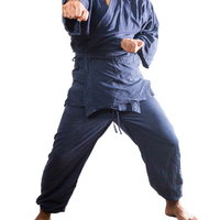 感謝を込めた正拳突き - 紺色道着を着た男性の空手ポーズの写真