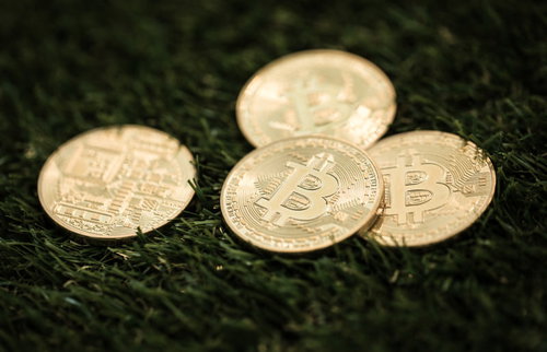 緑の芝生に置かれたビットコインメダル、仮想通貨投資