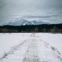 雪が積もった農道と遠くに見える雪山、白い雪原と枯れた草の写真