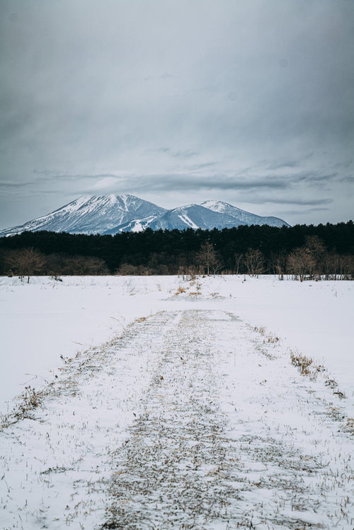 雪が積もった農道と遠くに見える雪山、白い雪原と枯れた草