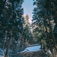雪が積もった観音堂の屋根と杉木立、朝焼けの光の写真