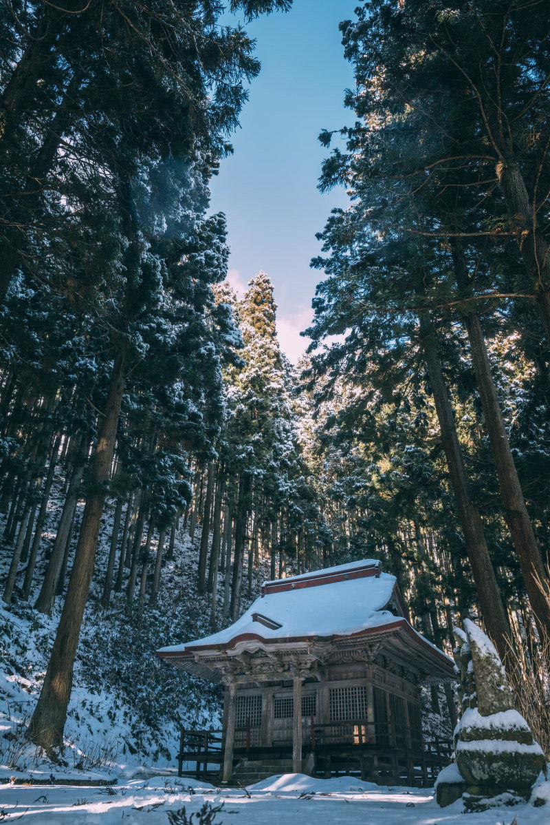 雪が積もった木造の観音堂を背景に杉の大木が立ち並ぶ冬景色