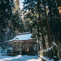 高く聳える杉の木々に包まれた郡山市の観音堂の雪化粧の写真