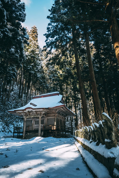 高く聳える杉の木々に包まれた郡山市の観音堂の雪化粧