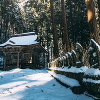 雪の朝日に照らされた杉林の中の観音堂と地蔵石像の写真