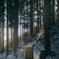 雪積もる林道のお地蔵さんの写真