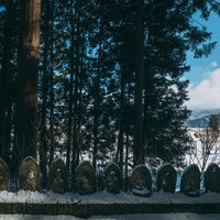 積雪の杉林に一列で並ぶお地蔵様・福島県郡山市の写真