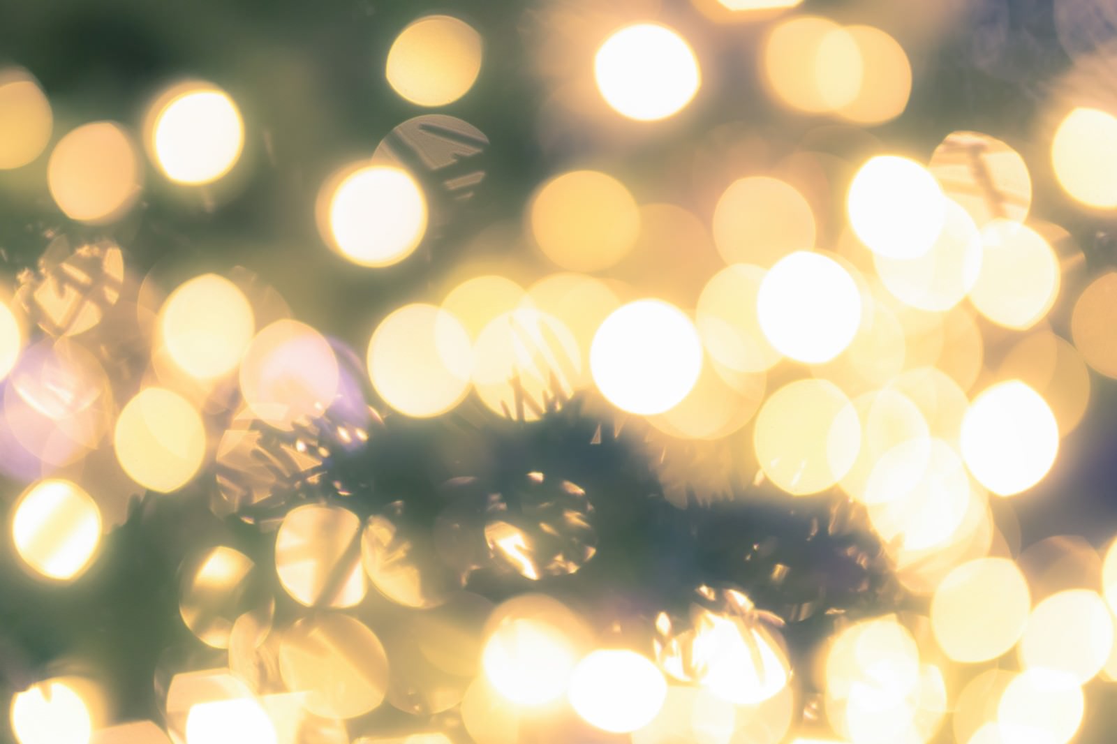 クリスマスツリーの前で光る白と黄色のイルミネーション