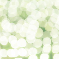 緑と光のボケイルミネーションの写真