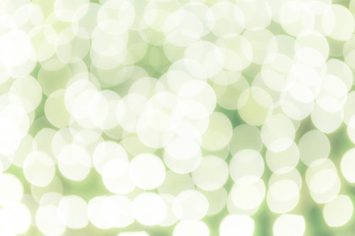 緑と光のボケイルミネーション