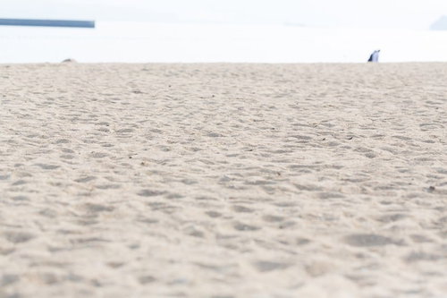 伊万里市のイマリンビーチ砂浜を低い視点で捉えた風景