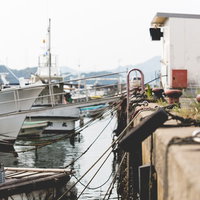 伊万里市の波多津港に係留される漁船と防波堤の写真