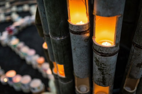 竹灯籠が灯る佐賀県伊万里市大川内山の「ボシ灯ろうまつり」