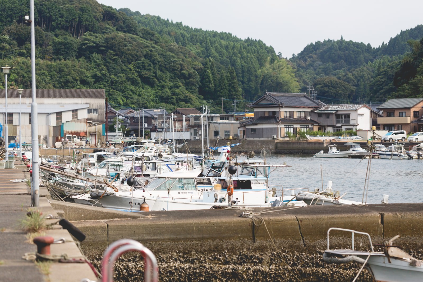 波多津港に並ぶ漁船と山に囲まれた港町の風景
