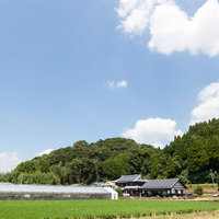 ビニールハウスと民家が立つ伊万里市の農村風景の写真