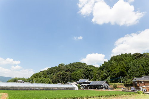 ビニールハウスと民家が立つ伊万里市の農村風景