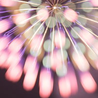 夜空に降り注ぐピンク色の水玉花火の打ち上げ風景の写真