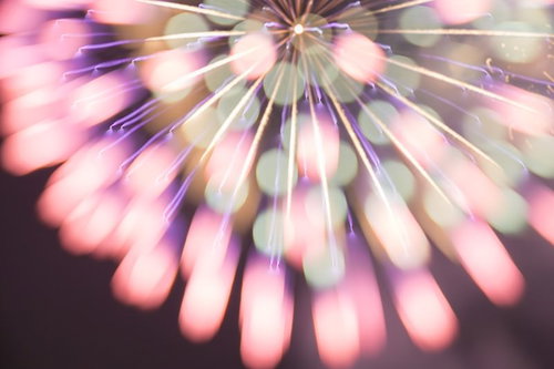 夜空に降り注ぐピンク色の水玉花火の打ち上げ風景