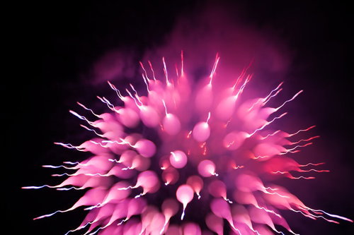 まるで生き物、これも花火です。