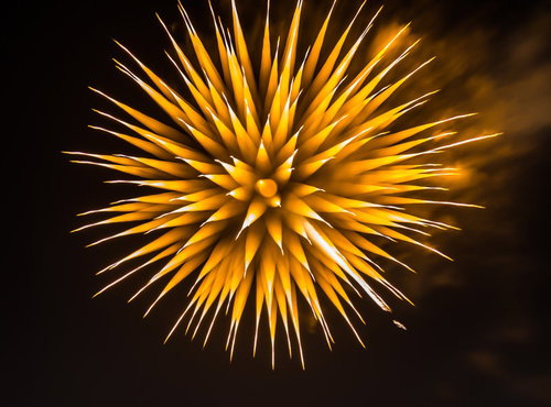 夜空に咲く黄色いたんぽぽ型の花火、放射状に広がる火の粉