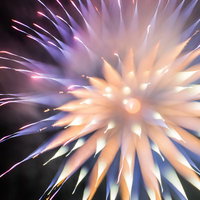 やわらかい暖色のゆるふわ花火の夜空〜ピンク×パープル×橙色の写真