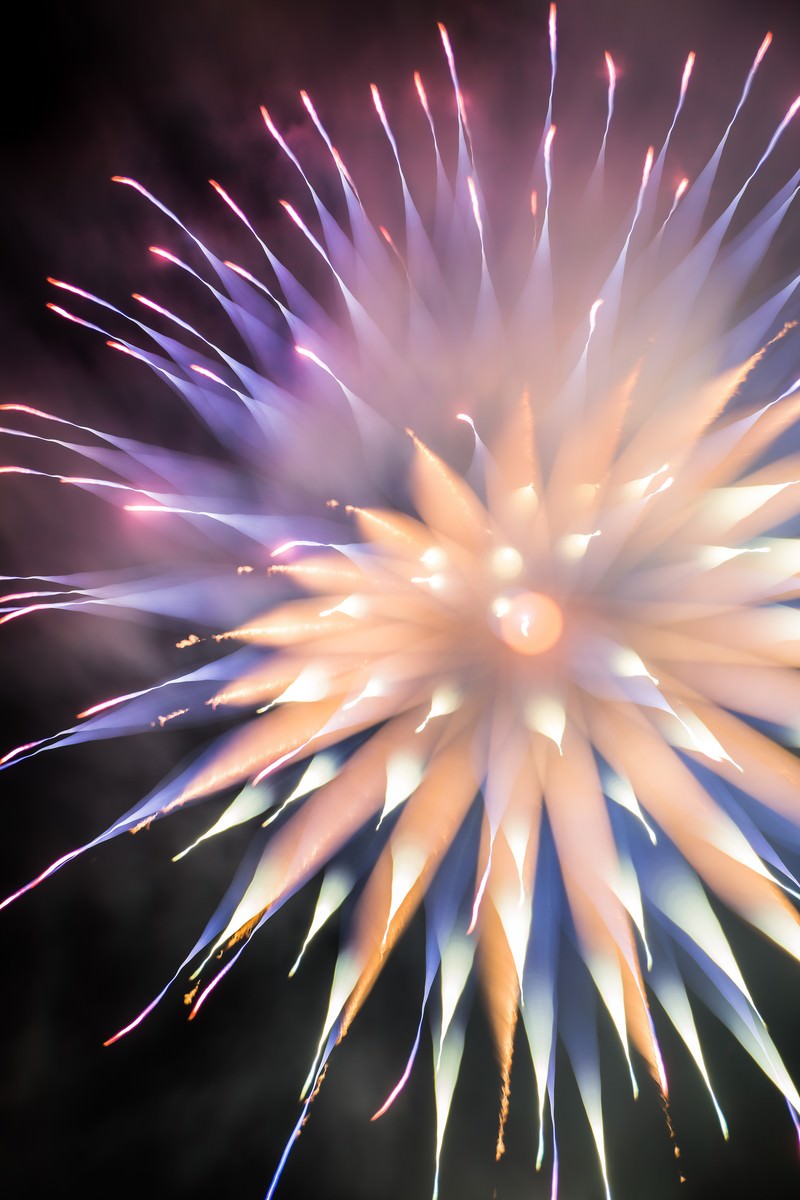 ピンクとパープルの光が広がる夜空の花火