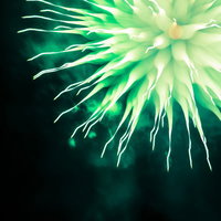 夜空に浮かぶ緑色のモンスター花火が炸裂する瞬間の写真