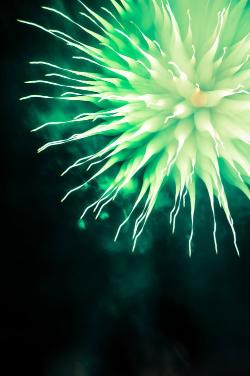 夜空に浮かぶ緑色のモンスター花火が炸裂する瞬間