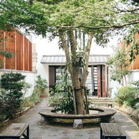 憩いの古伊万里公園内、大樹を囲むベンチスペースの写真