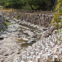 ボシ灯ろうまつりの川岸に灯る千の陶製灯ろうの写真