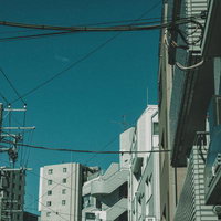 電線の交差が描く都市の表情の写真