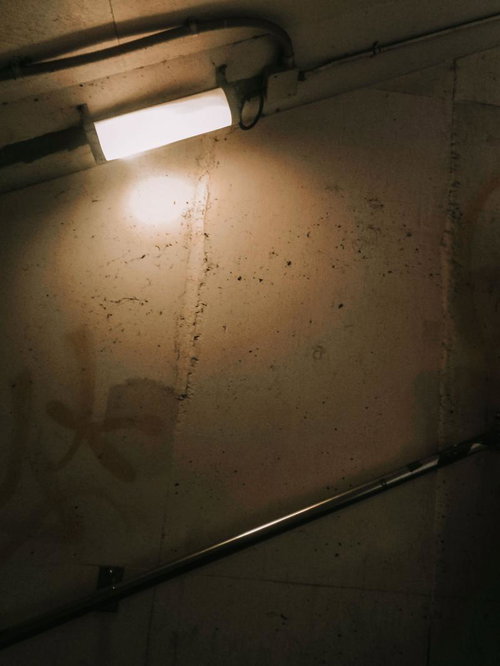 透明なビニール袋に詰められた大量の空き缶