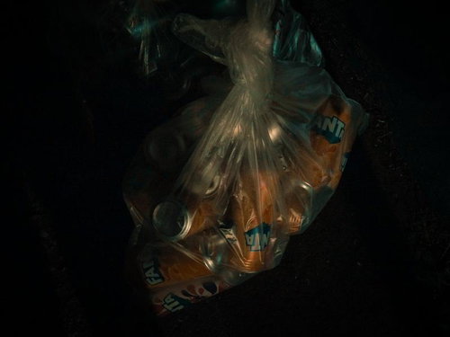 はは、見ろ！人混みのようだ！