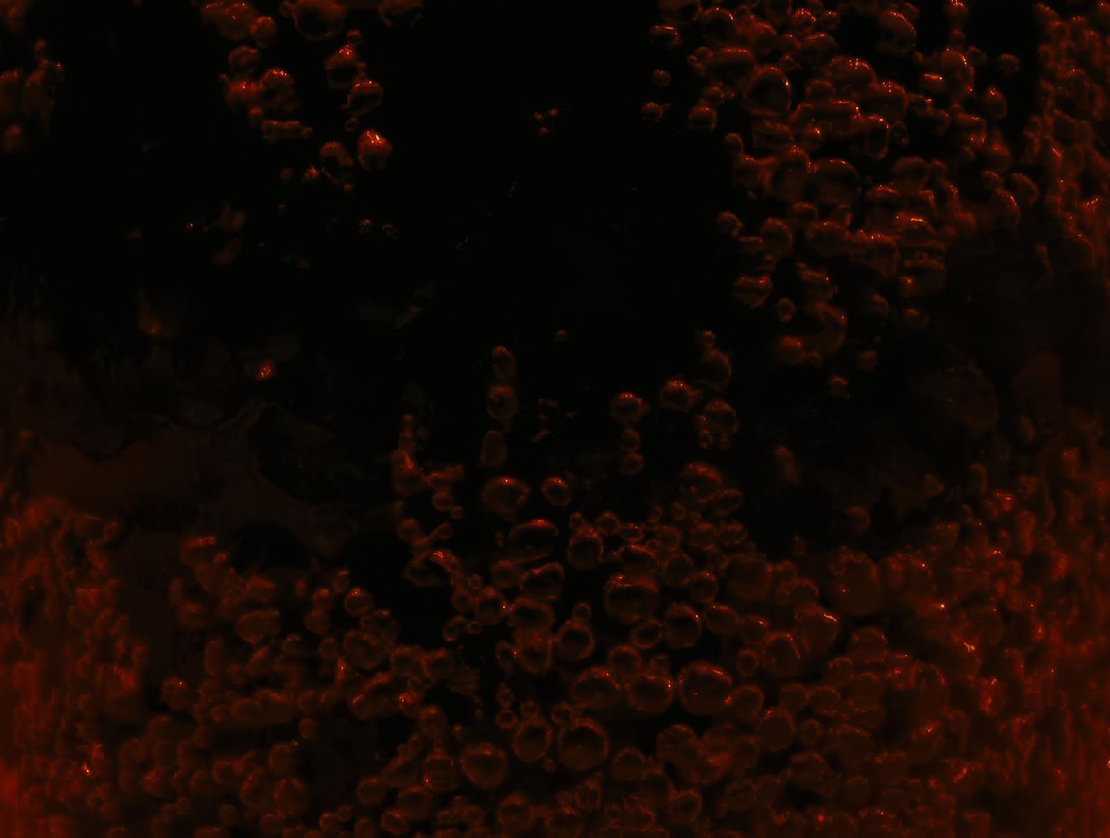 赤みがかった液体に泡が密集した接写