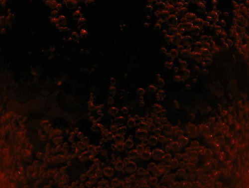 赤みがかった液体の泡（接写）