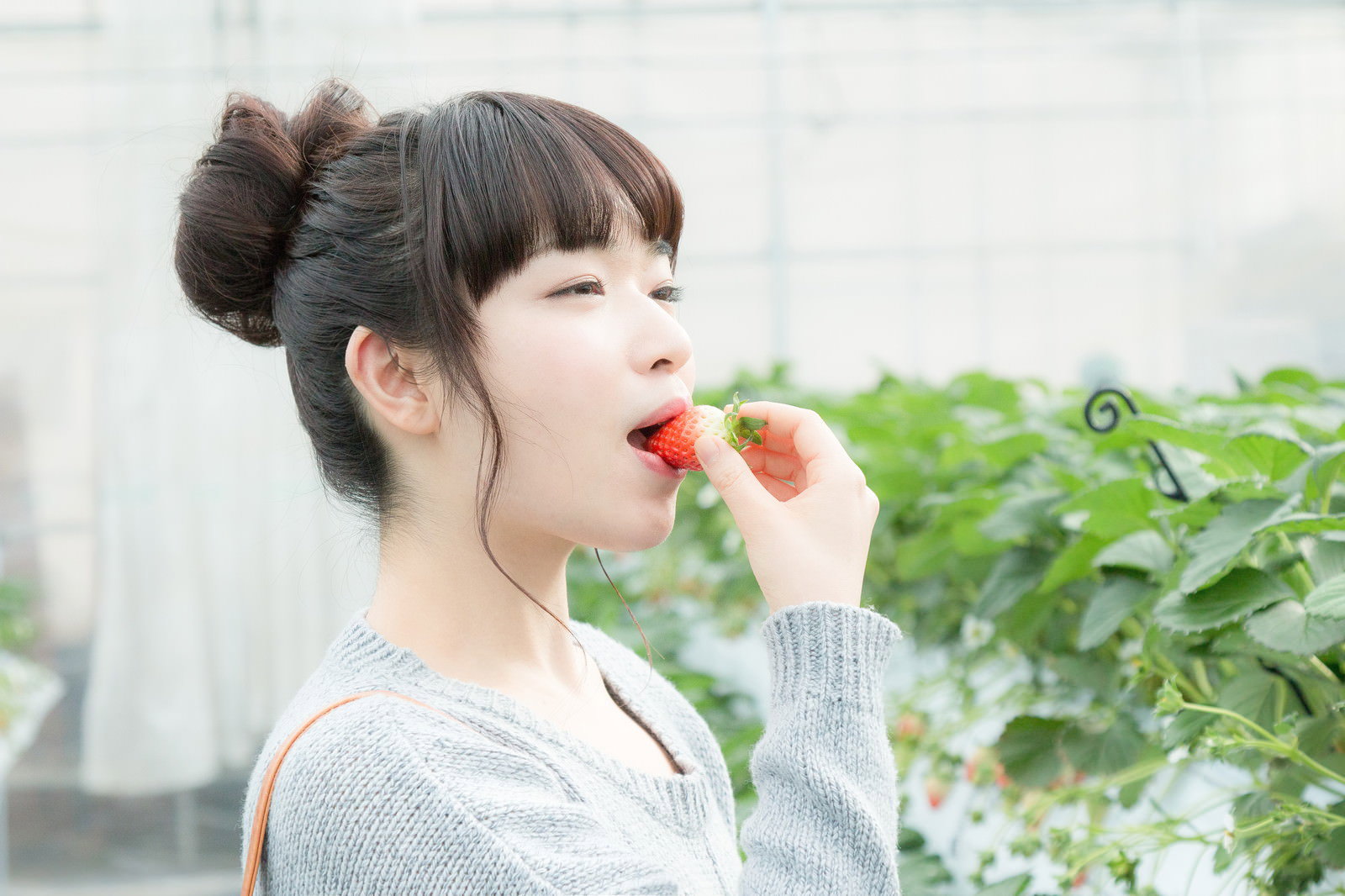 いちご狩りで採れたいちごをかじる笑顔の女性［モデル：渡辺友美子］