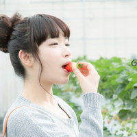 いちご狩りで甘いいちごにご満悦の女性のビニールハウス体験の写真