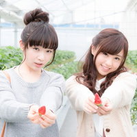 採れたてのいちごを両手に持ってアピールする若い女性の写真