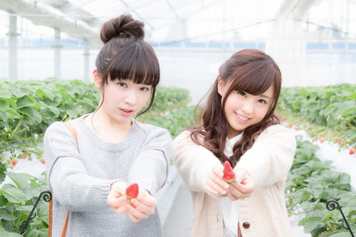 採れたてのいちごを両手に持ってアピールする若い女性