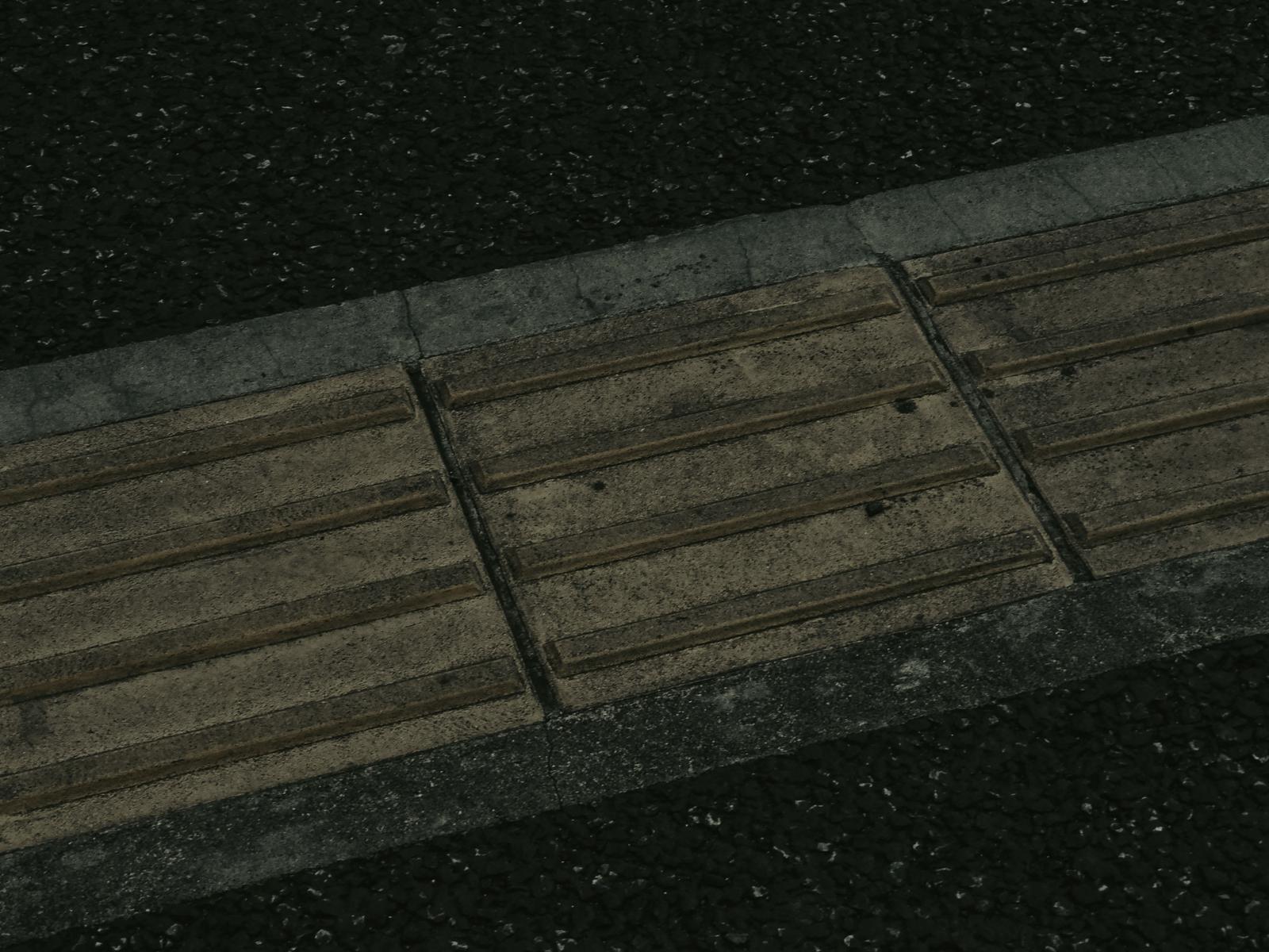 雨上がりの歩道に並ぶ点字ブロック