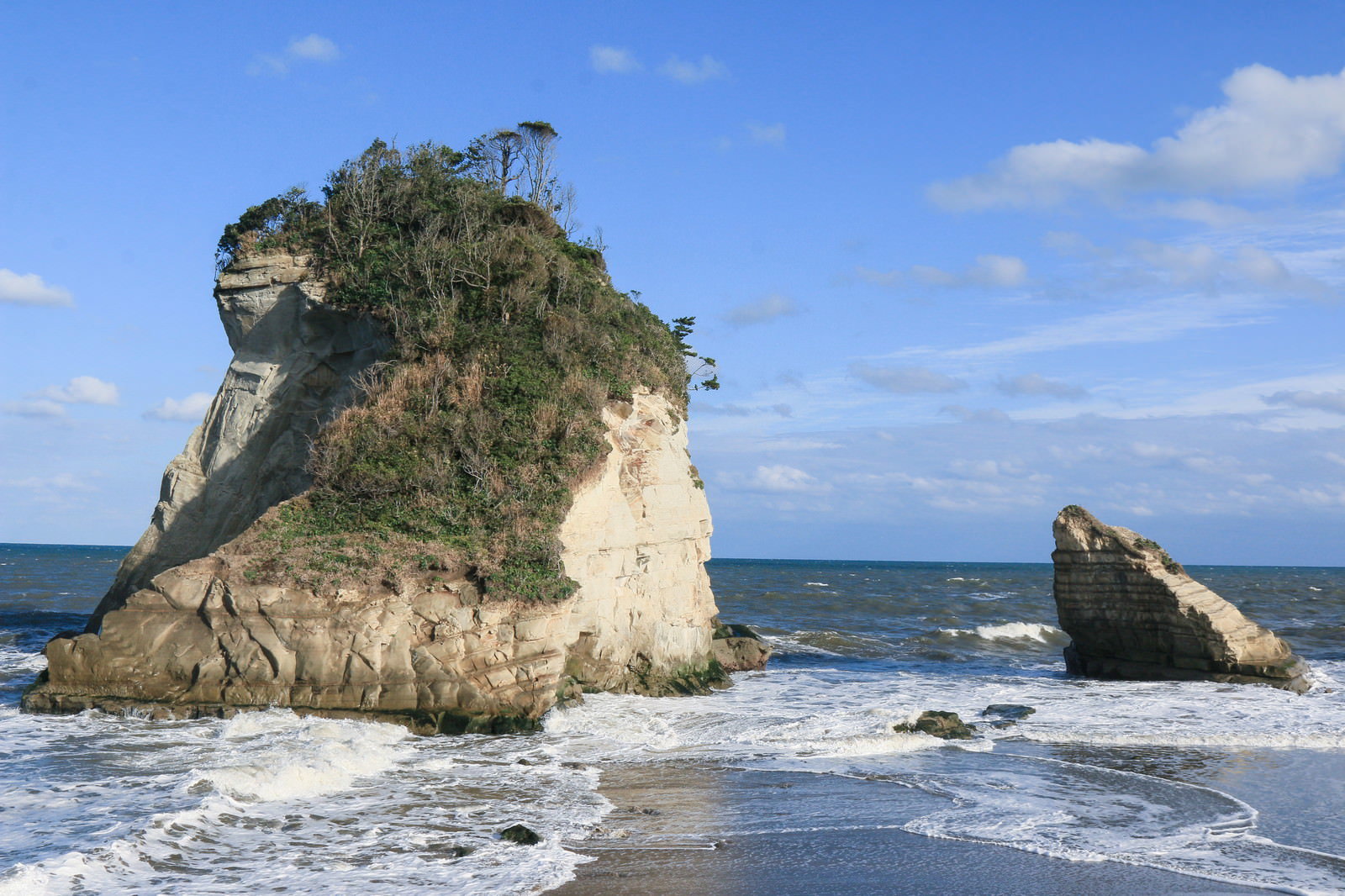 海に立つ緑が生い茂った白い岩と小さな岩が並ぶ夫婦岩