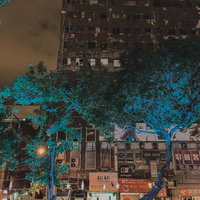 夜のネオンに照らされる台湾の路面店の写真